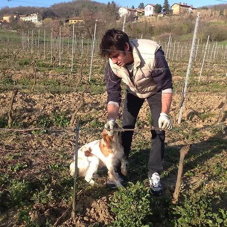 Vakantieboerderij Azienda Agricola Garoglio Davide *