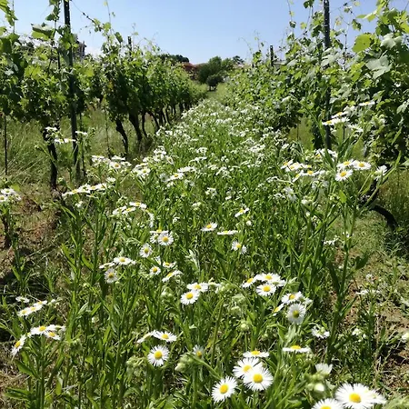 Azienda Agricola Garoglio Davide Vakantieboerderij