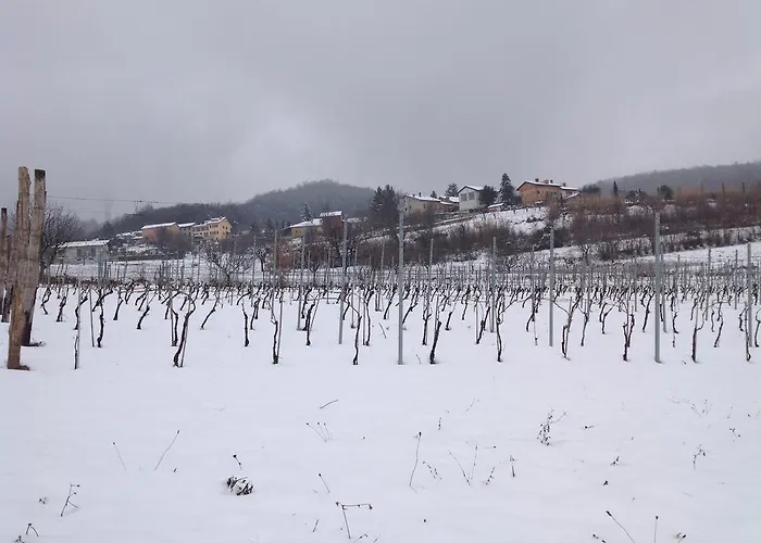 Vakantieboerderij Azienda Agricola Garoglio Davide