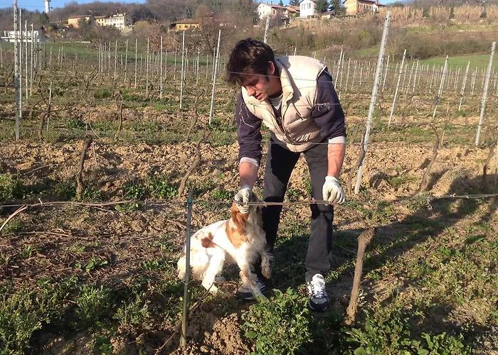 Vakantieboerderij Azienda Agricola Garoglio Davide *