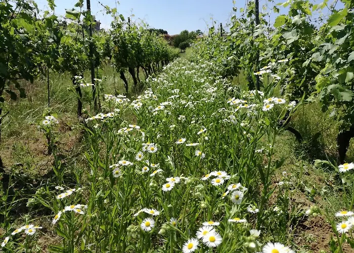 Azienda Agricola Garoglio Davide Vakantieboerderij